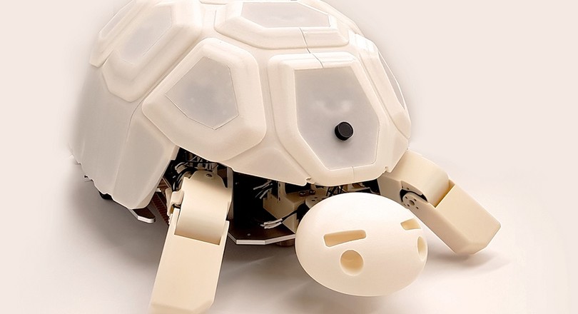 Waarschuwing teksten patroon Robotschildpad leert kinderen manieren | De Ingenieur