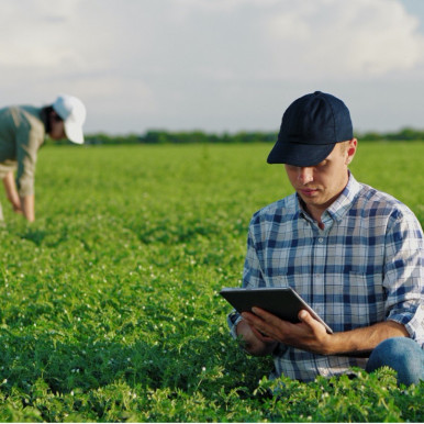 Höhere Erträge in der Landwirtschaft dank IoT